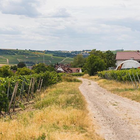 Appartment In Den Weinbergen Bei Mainz - Mit 2X Doppelzimmern, 1X Grosses Wohnzimmer, Bad & Kueche Stadecken-Elsheim Εξωτερικό φωτογραφία